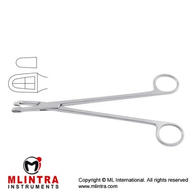 Schubert Biopsy Forcep Stainless Steel, 21.5 cm - 8 1/2" Bite Size 4.8 mm Schubert Biopsy Forcep Stainless Steel, 21.5 cm - 8 1/2" Bite Size 4.8 mm
